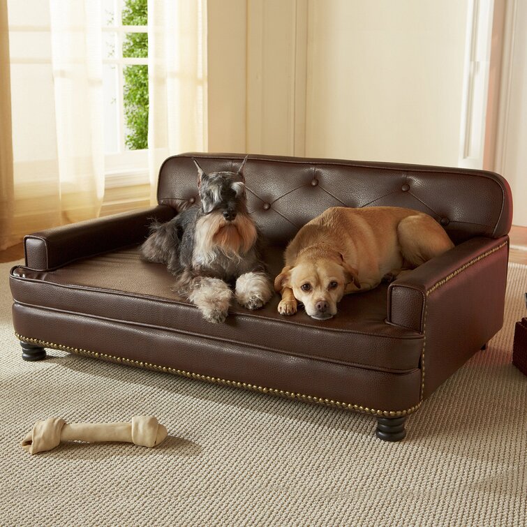 Leather shop pet couch